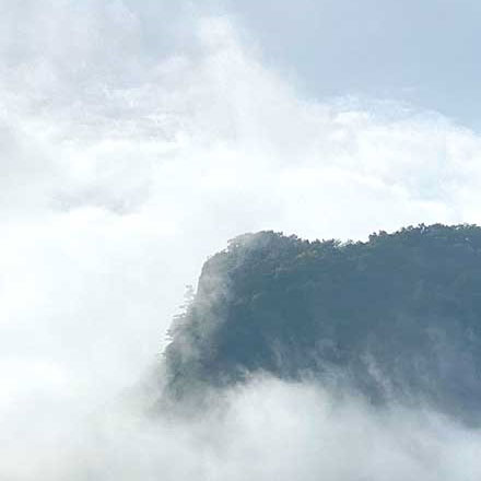 設(shè)計(jì)圖紙上的電梯標(biāo)識